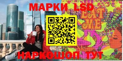 Альфа ПВП Новодвинск