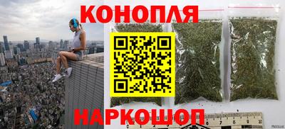 Альфа ПВП Новодвинск