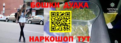 Альфа ПВП Новодвинск