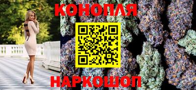 Альфа ПВП Новодвинск