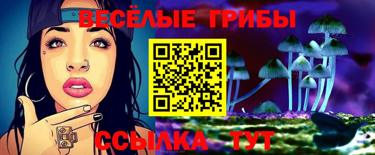 Псилоцибиновые грибы мухоморы  Вход с VPN  закладки  Сертолово  Псилоцибиновые грибы ЛСД 