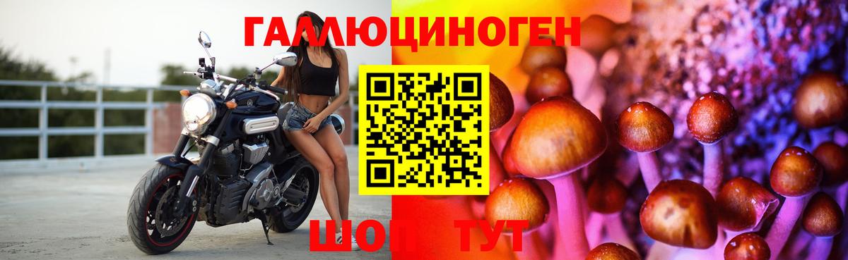 Псилоцибиновые грибы мухоморы Сертолово